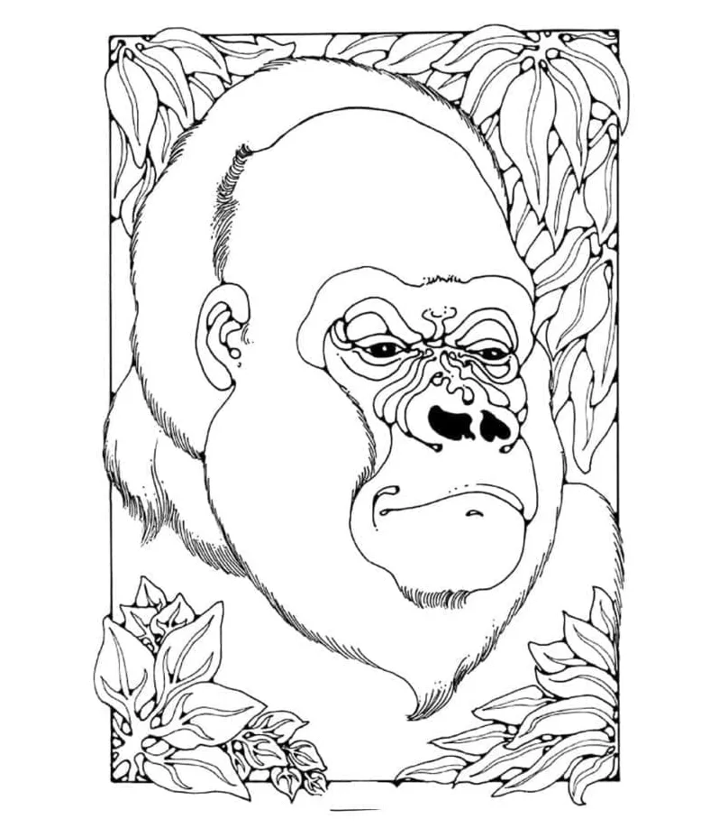 Free download, print or color online for free