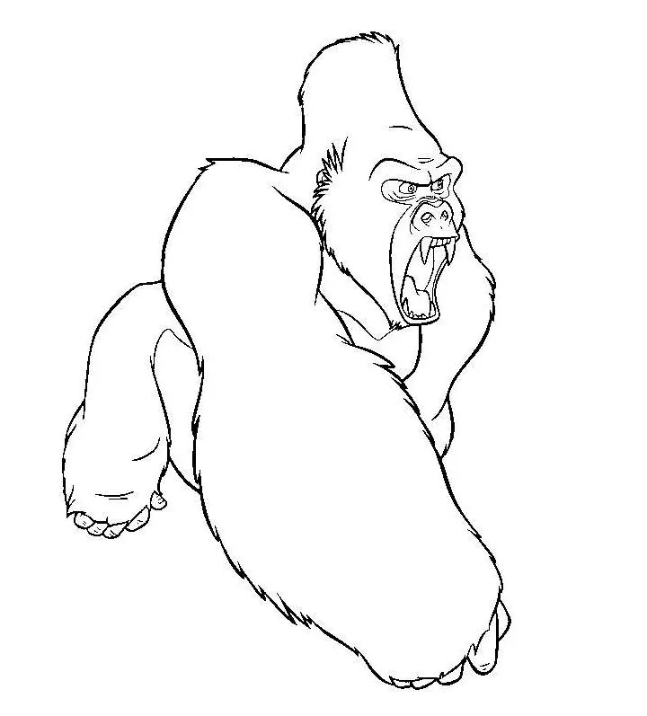 S free printable pdf