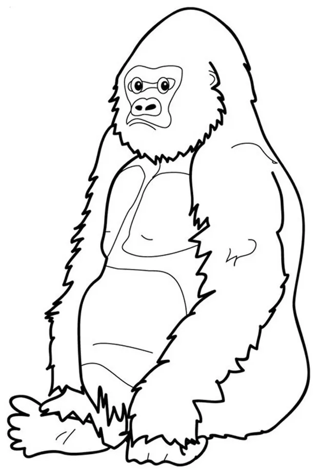 Clipart panda free clipart s