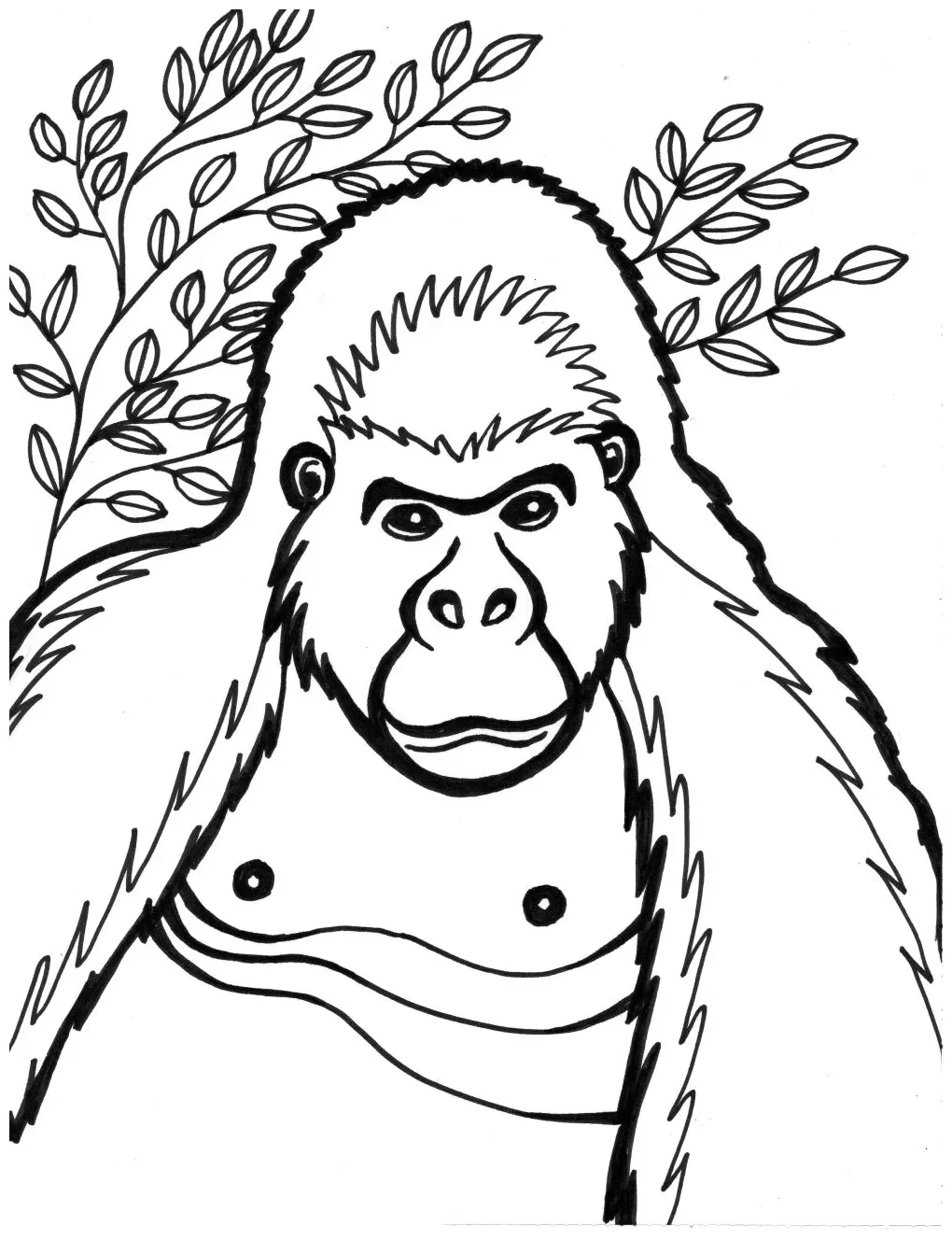 Clipart panda free clipart s