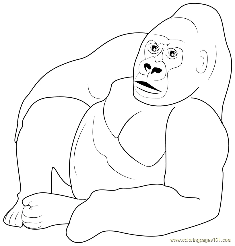 Gorilla relaxing coloring page for kids free gorilla printable