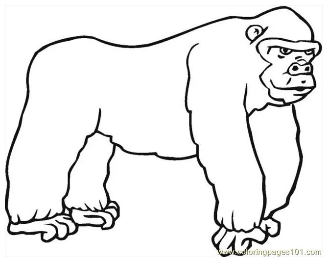 Clipart panda free clipart s