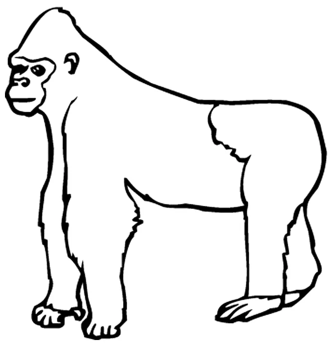 Clipart panda free clipart s