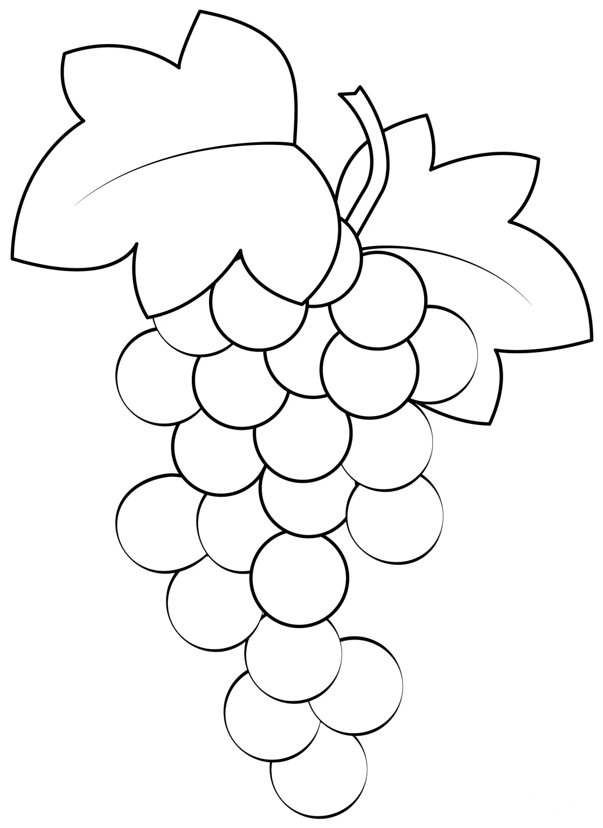 Grape Vine coloring page - ColouringPages