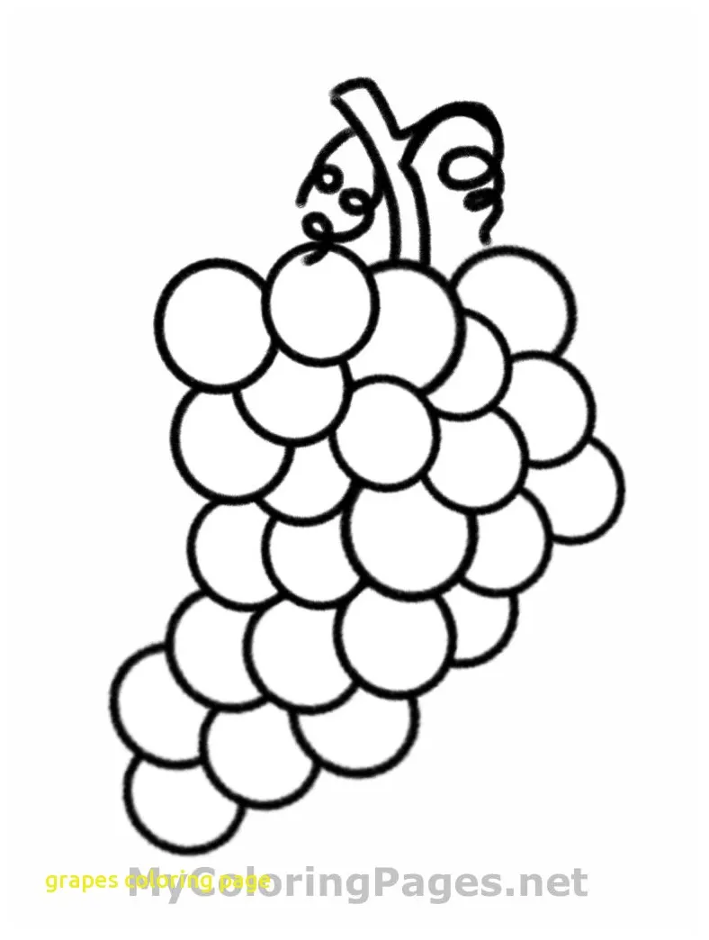 Grape Vine Coloring Page Coloring Pages