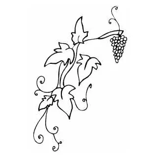 Grape Vine Coloring Page at GetColorings.com | Free printable colorings