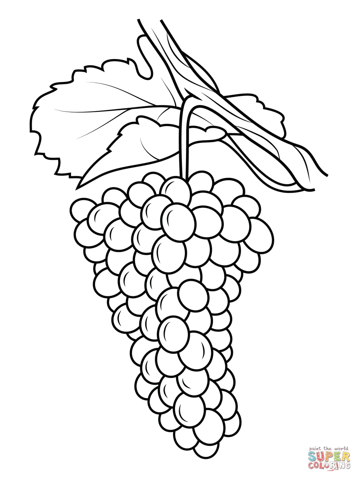 Grape Vine Coloring Page at GetColorings.com | Free printable colorings