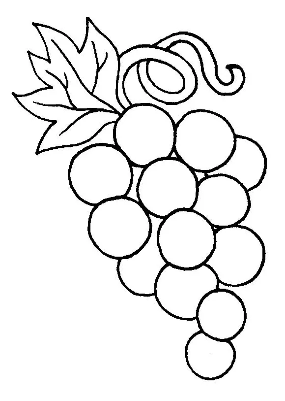 Grape Vine Coloring Page at GetColorings.com | Free printable colorings
