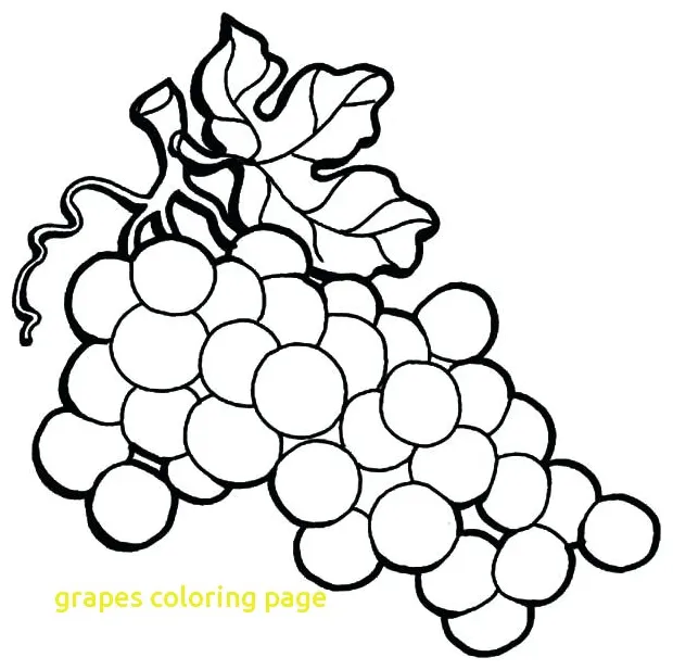 Grape Vine Coloring Page at GetColorings.com | Free printable colorings