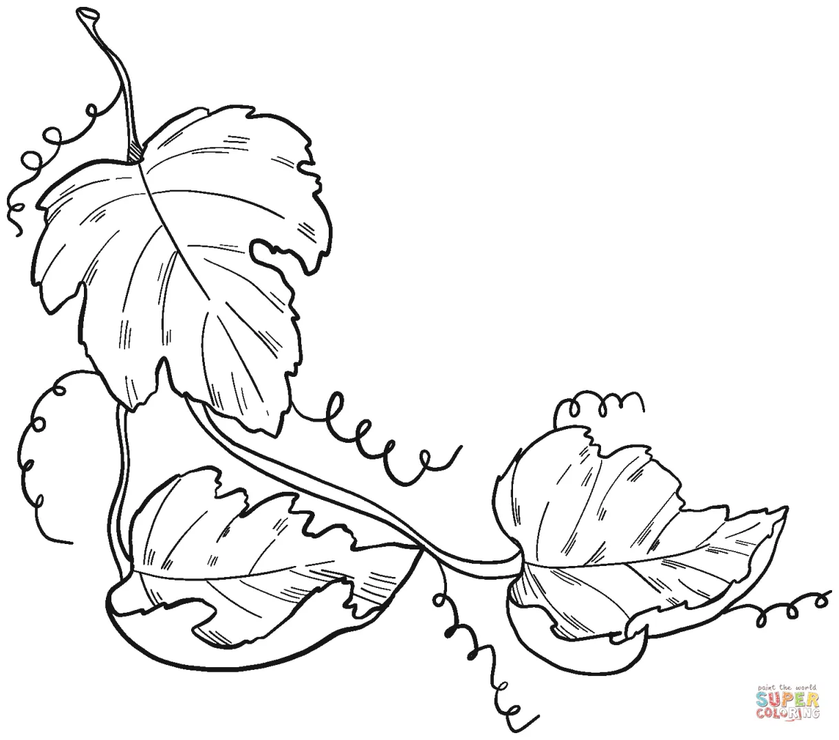 Grape Vine coloring page | Free Printable Coloring Pages