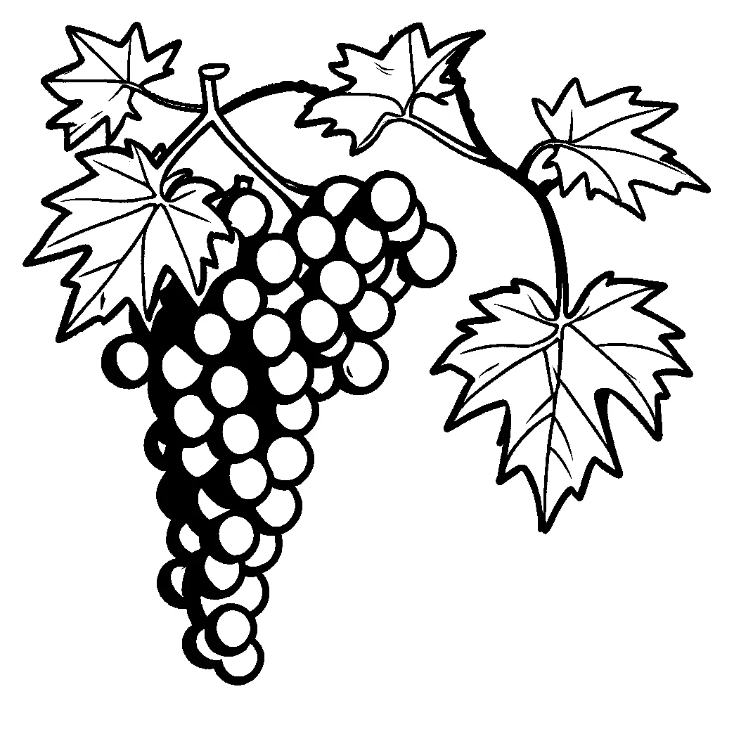 Grape vine coloring page Lulu Pages