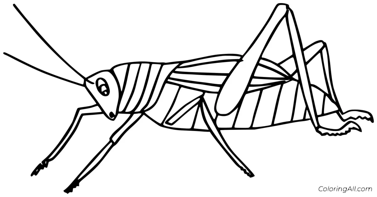 Easy coloring pages coloring cool