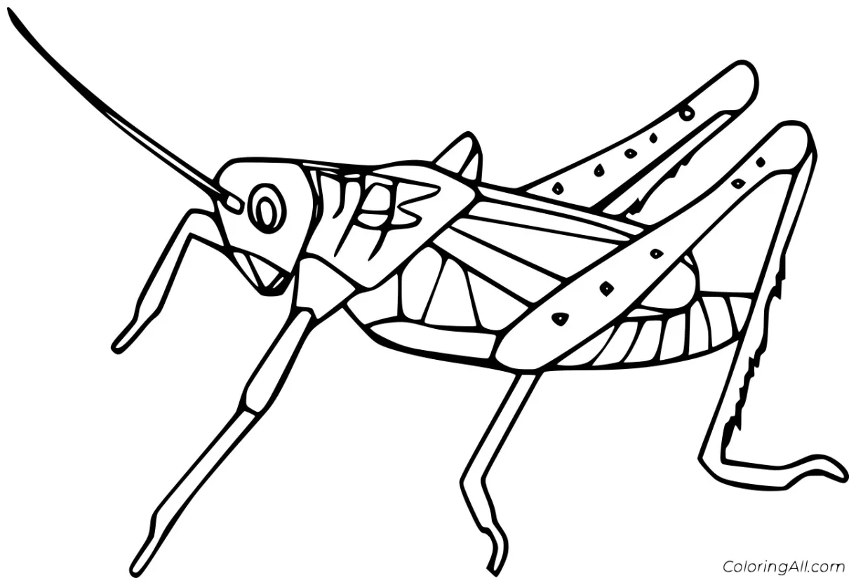 Grasshopper jumping coloring coloring pages coloring cool