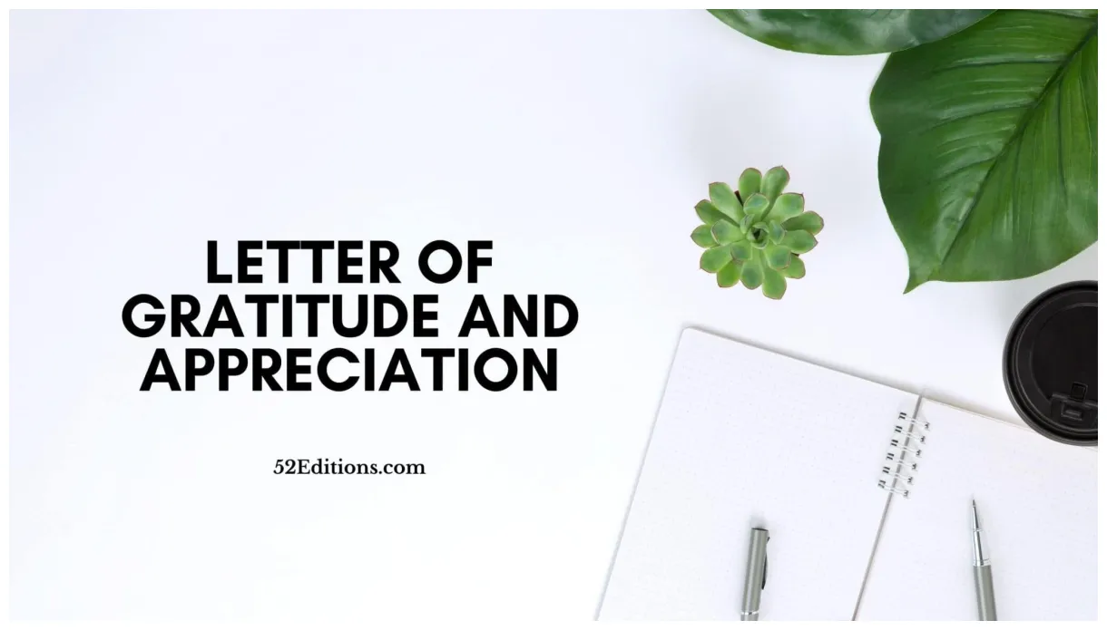 Letter of gratitude and appreciation // get free letter templates