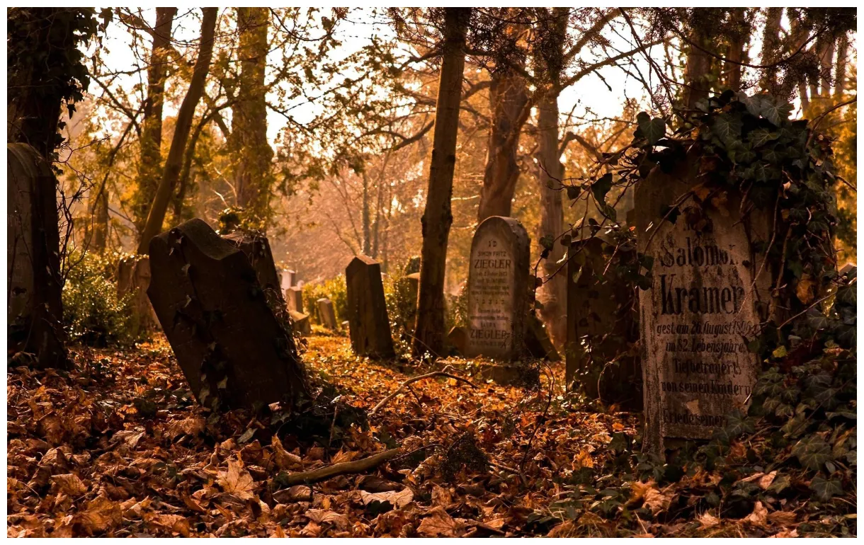 Download Graveyard In Fall Wallpaper | Wallpapers.com