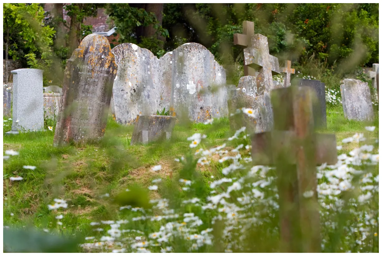 Graveyard Headstones Free Stock Photo - Public Domain Pictures