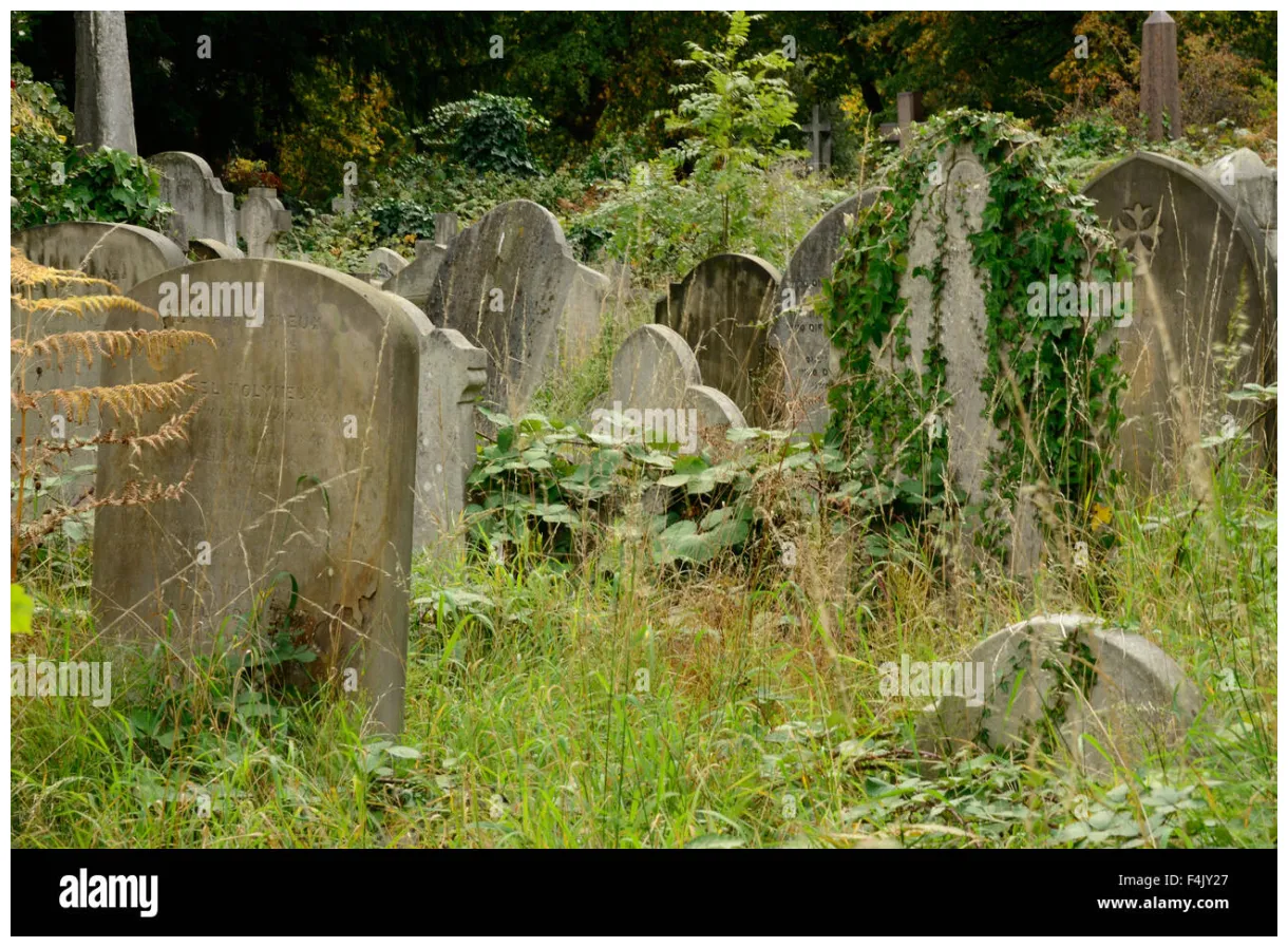 Overgrown cemetery hi-res stock photography and images - Alamy