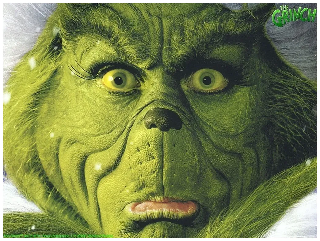 The grinch how the grinch stole christmas 30805541 fanpop