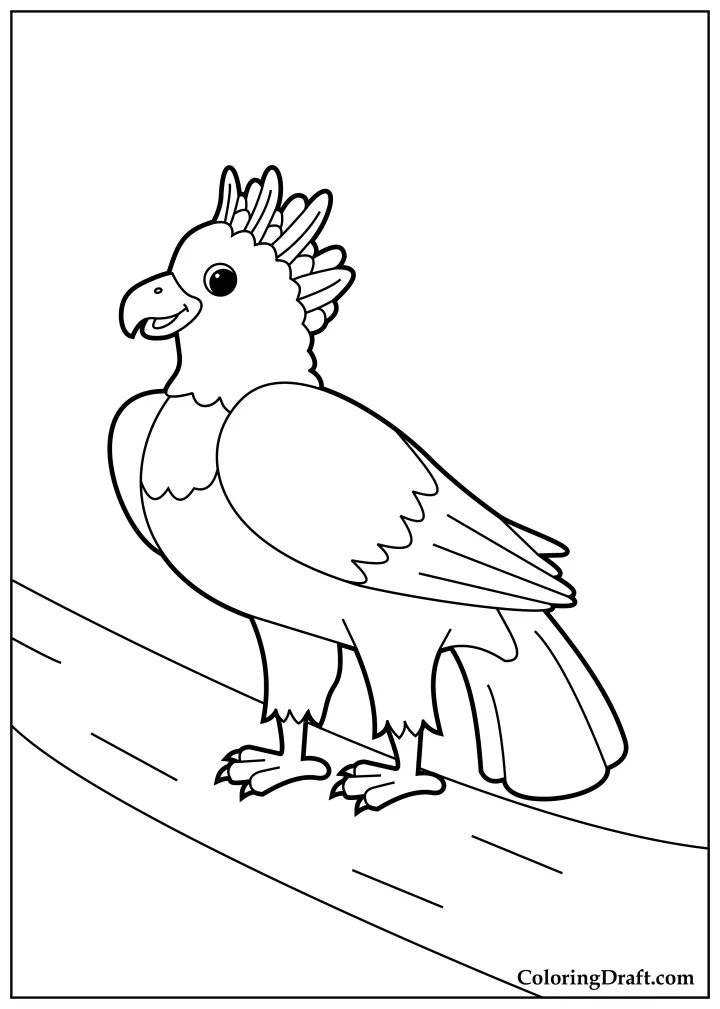 Harpy eagle coloring pages coloringdraft