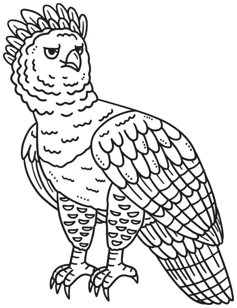 Harpy eagle coloring pages [2025]