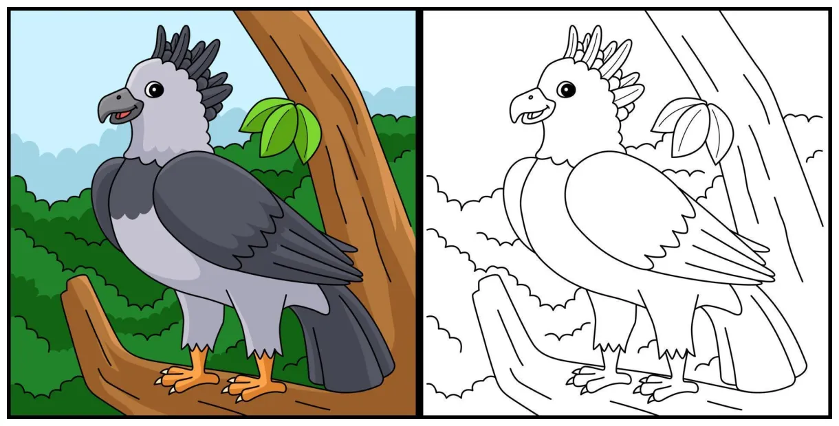 Harpy eagle animal coloring page illustration 19977910 vector art at