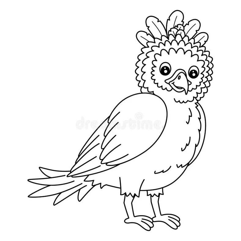 Bird harpy eagle isolated coloring page for kids stock vector