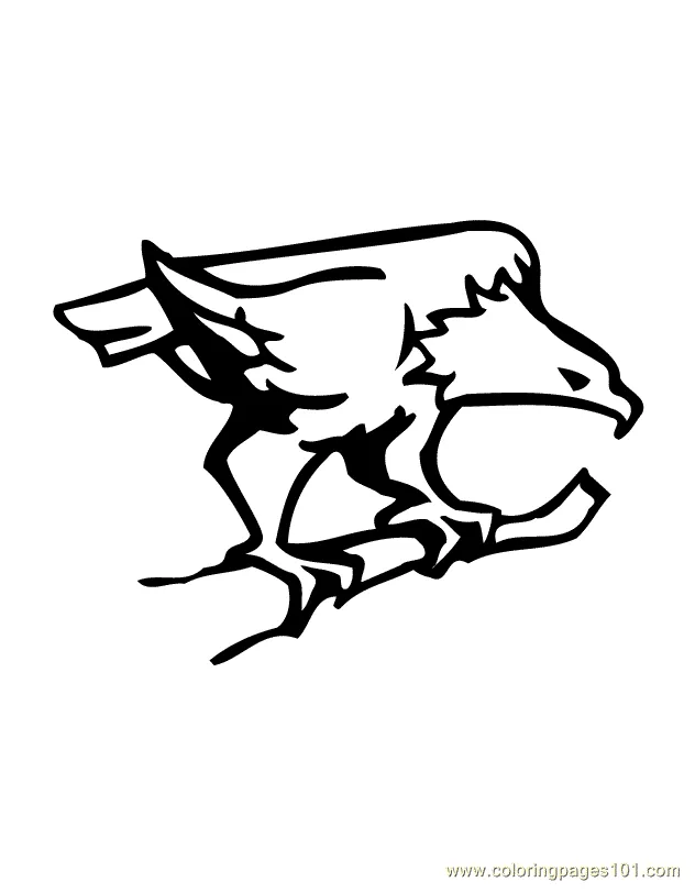 Harpy eagle coloring page free printable harpy eagle coloring sheets