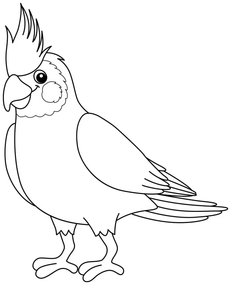 Harpy eagle coloring page