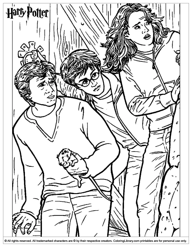 Color page coloring library