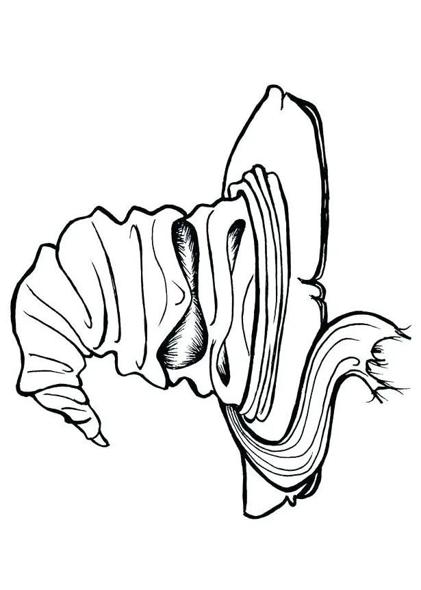 S at getcolorings free printable printable coloring page