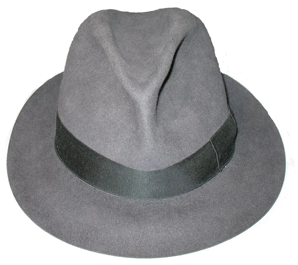 World Hat styles ~ JUDGMENTAL