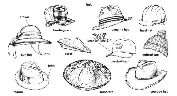 Hat Definition & Meaning | Britannica Dictionary