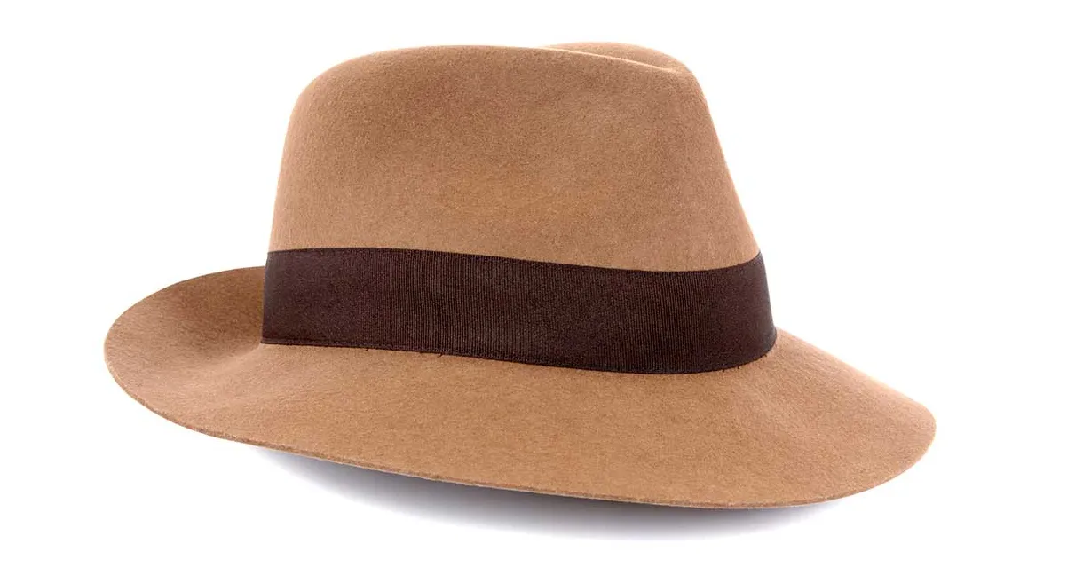 Planning to Attend a Wedding? Try One of These Four Hats to the Happy