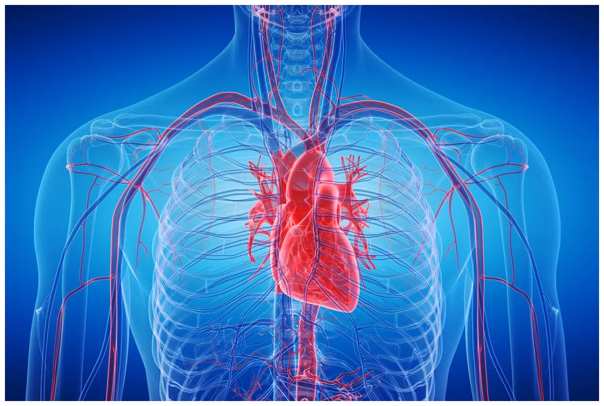 The lifesaving legacy of vishnu tirtha vadai a heartwarming tale of