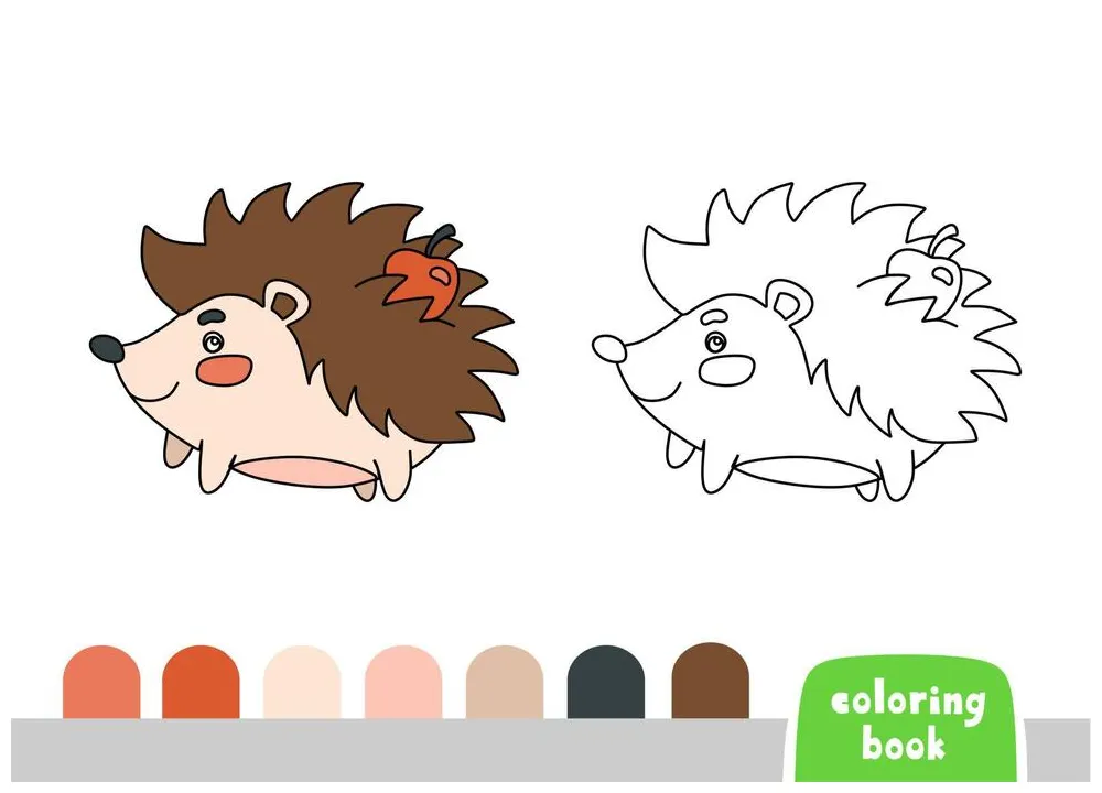 Page 3 hedgehog coloring page vector art, icons, and graphics for