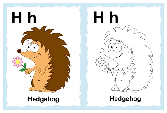 Hedgehog illustration coloring page s browse 2,079 s