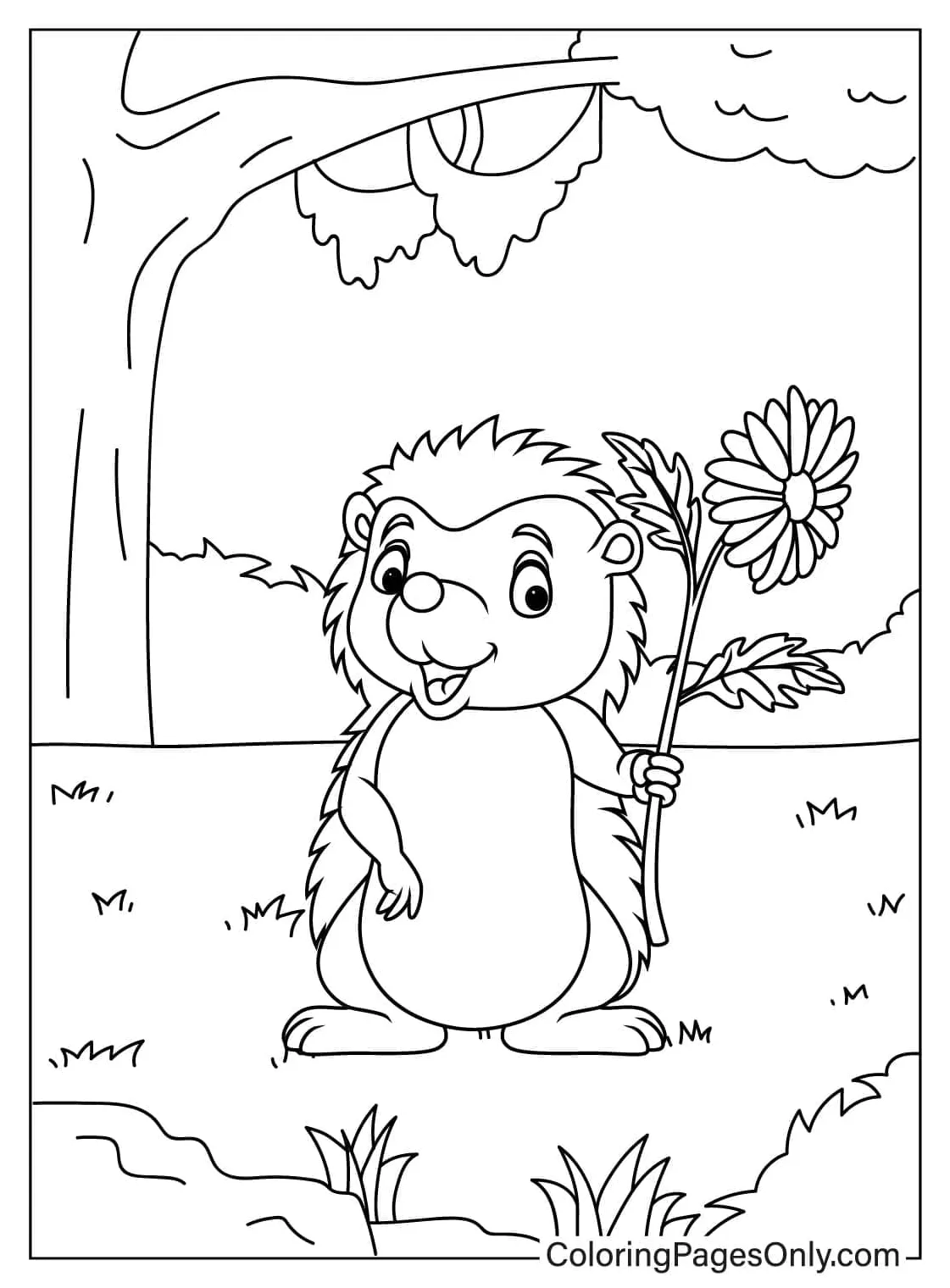 20+ hedgehog coloring pages free printable pdf & online coloring