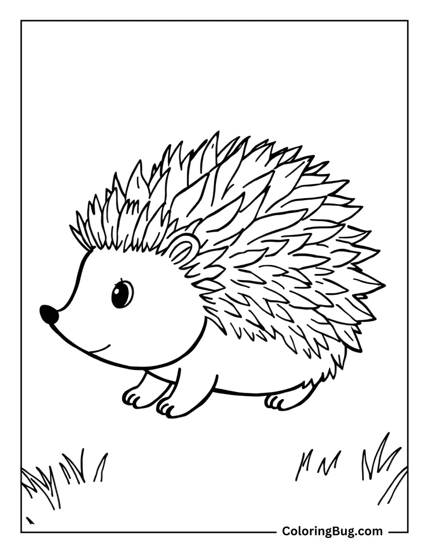 40 hedgehog coloring pages free printable pdfs