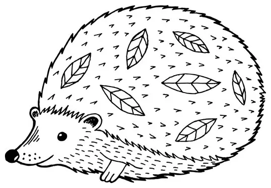 Hedgehog illustration coloring page s browse 2,079 s