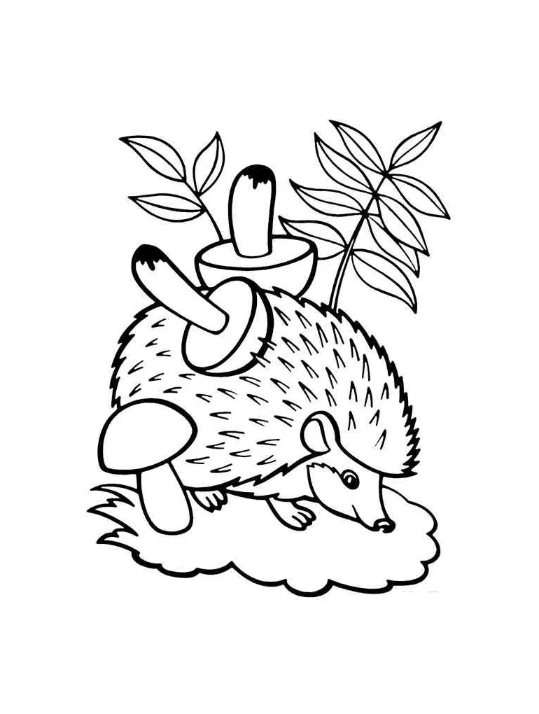 Cartoon Hedgehog coloring page