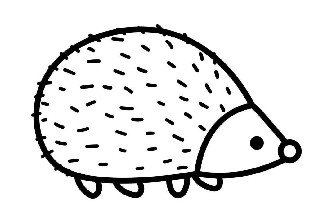 Hedgehog Coloring Page Vector Art, Icons, and Graphics for Free Download