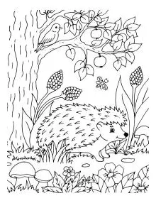 Funny coloring pages