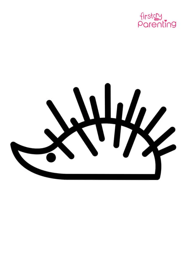 Hedgehog Spines Drawing Coloring Page for Kids | FirstCry Parenting