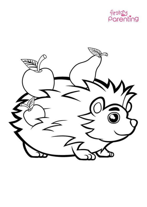 Hedgehog spines drawing coloring page for kids firstcry parenting