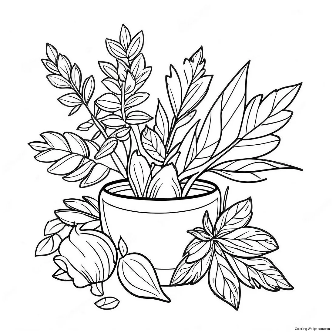 Herb coloring page 27874-22034