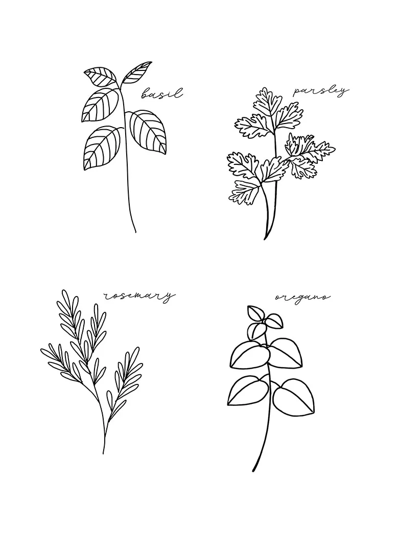 Free printable herb coloring pages coloring pages