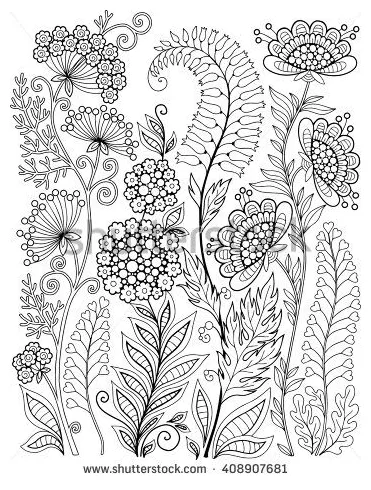Herb coloring pages at getcolorings free printable colorings printable coloring page