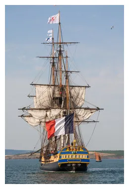 Hermione bilder bläddra bland 504 stockfoton, vektorer och videor