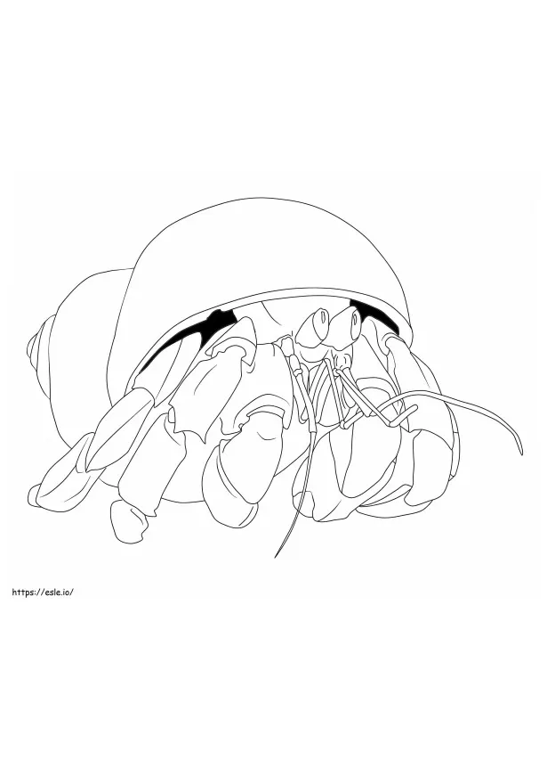 S free printable coloring pages for kids and