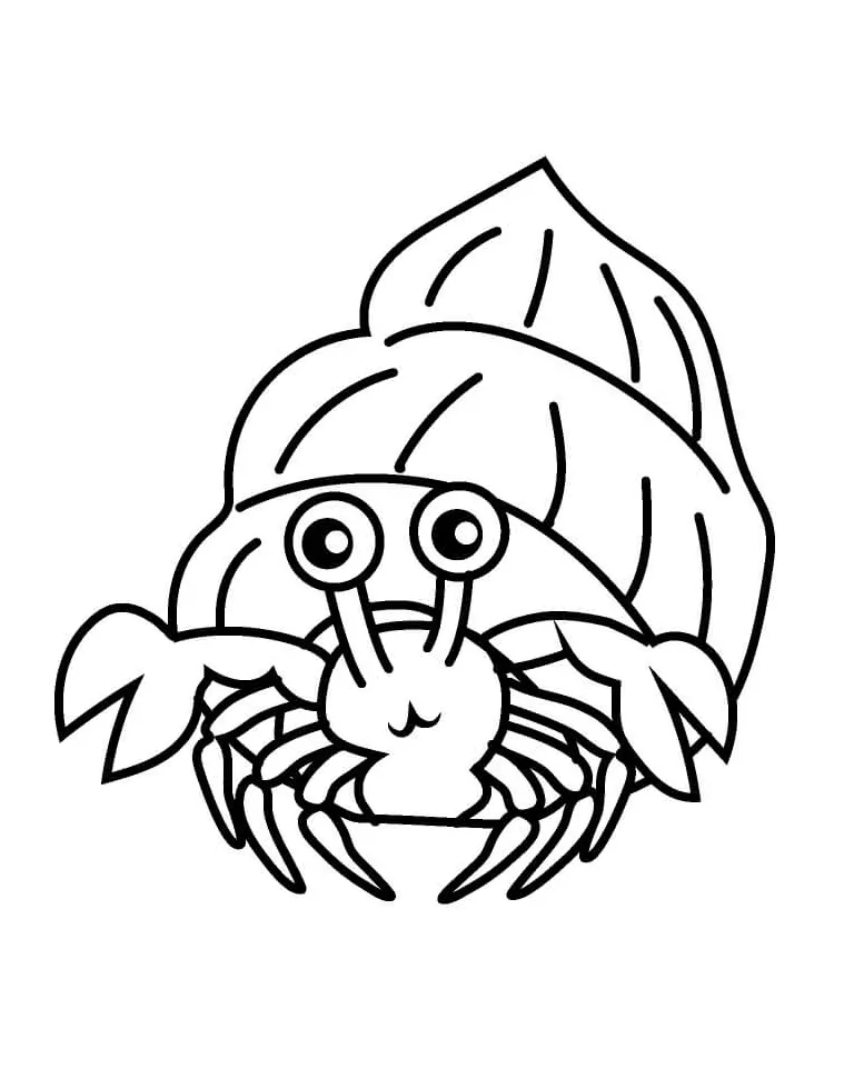 Hermit crab 11 coloring pages coloring cool